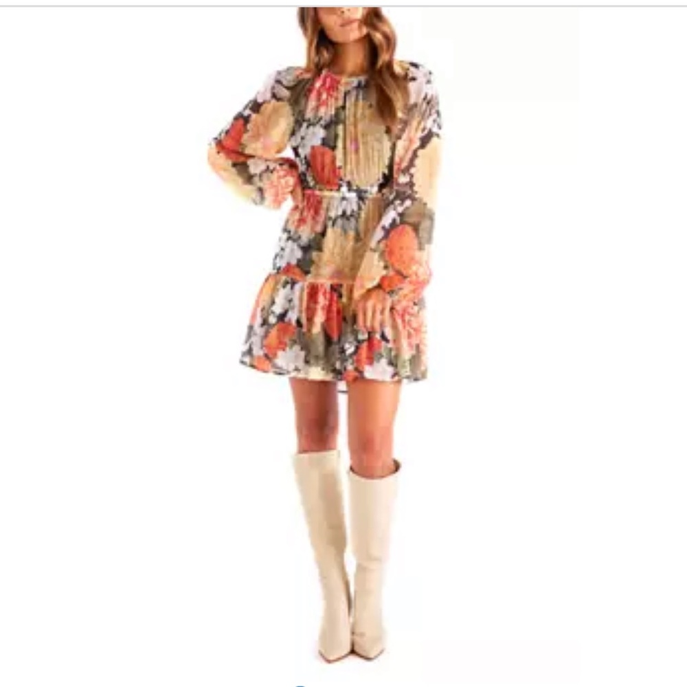 NWT MINKPINK clementine mini dress